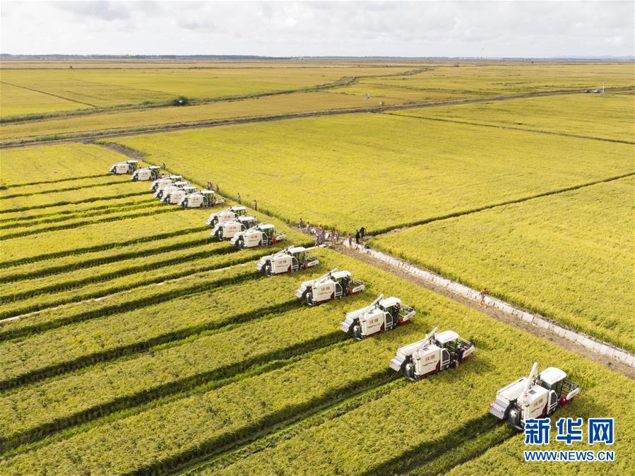 (新華全媒頭條·圖文互動(dòng))(15)奮斗結(jié)碩果,再寫新篇章——寫在共和國(guó)71周年華誕之際