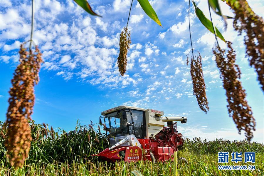 (新華全媒頭條·圖文互動(dòng))(17)奮斗結(jié)碩果,再寫新篇章——寫在共和國(guó)71周年華誕之際