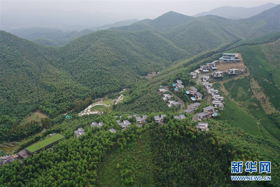 (新華全媒頭條·圖文互動)(8)“綠”從天目盎然出——湖州做好“六穩”工作落實“六保”任務新觀察