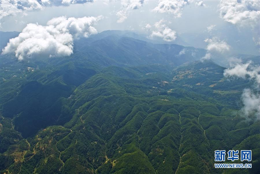 (熱點鮮報·圖文互動)(1)善洲精神永相傳:留下一片綠洲 造福家鄉百姓