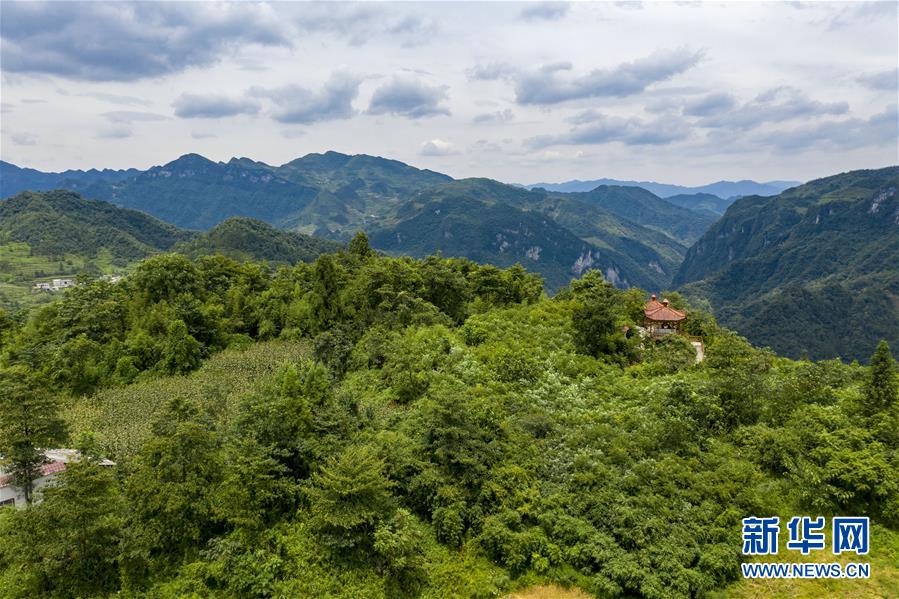 (新華全媒頭條·走向我們的小康生活·決戰決勝脫貧攻堅·圖文互動)(9)昭通之變——全國貧困人口最多的地級市跨越記