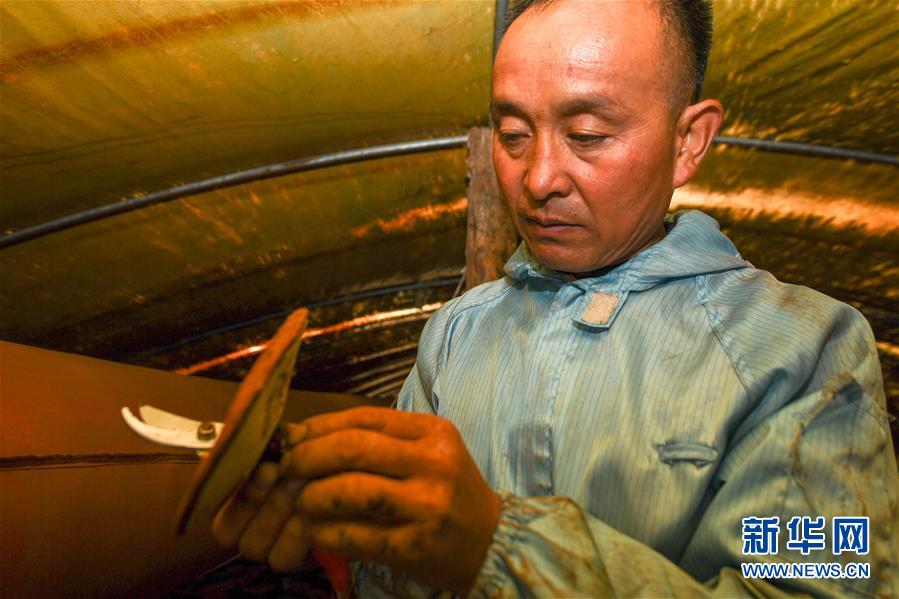 (決戰決勝脫貧攻堅·圖文互動)(3)從“因殘致貧”到“帶頭脫貧”——吉林靖宇有這樣一位“脫貧英雄”