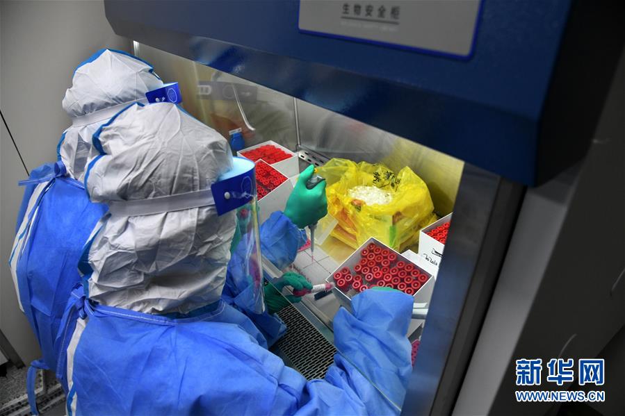 (聚焦疫情防控·圖文互動)(4)青島全員核酸檢測基本完成