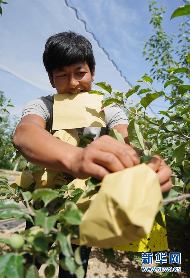 (習近平的小康故事·圖文互動)(2)“我很期盼的一件事,就是讓鄉親們飽餐一頓肉”——習近平和脫貧攻堅的故事