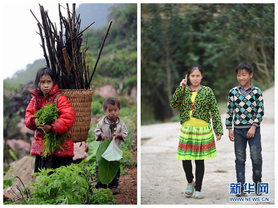 (新華全媒頭條·圖文互動)(2)木棉花開紅勝火——廣西千里邊境線脫貧紀實