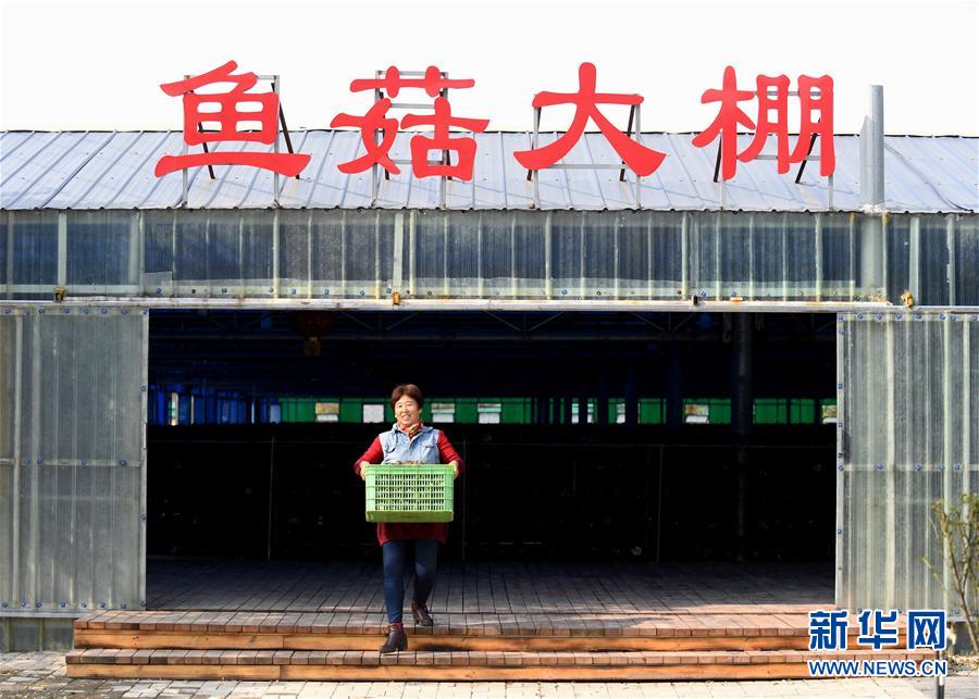 (決戰(zhàn)決勝脫貧攻堅·圖文互動)(5)17代人追逐的夢想實現(xiàn)了——記冀南平原劉秋口村變遷