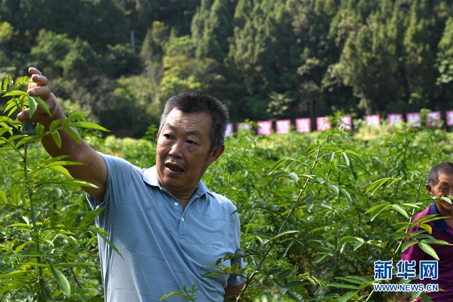 (決戰決勝脫貧攻堅·圖文互動)(4)“堵槍眼”的脫貧戰怎么打?——繼光村見聞