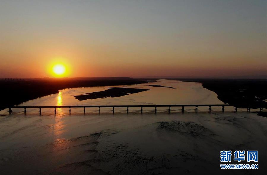 (新華全媒頭條·圖文互動)(15)從“四亂”突出到生態修復 黃河漸成中原“綠飄帶”