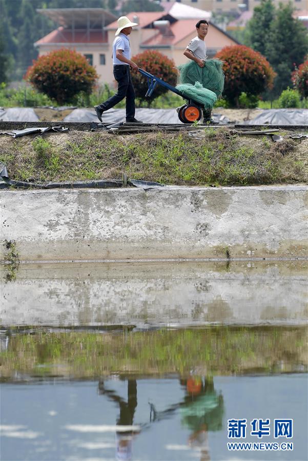 (新華全媒頭條·圖文互動)(3)幕阜山“搬窮”記