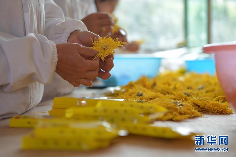 (新華全媒頭條·圖文互動)(5)幕阜山“搬窮”記