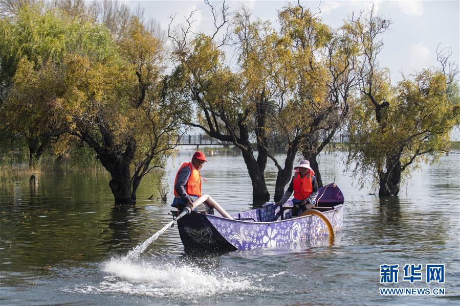 (新華全媒頭條·五中全會精神在基層·圖文互動)(9)奮發(fā)新青年 逐夢新征程——各地青年學習貫徹落實五中全會精神觀察