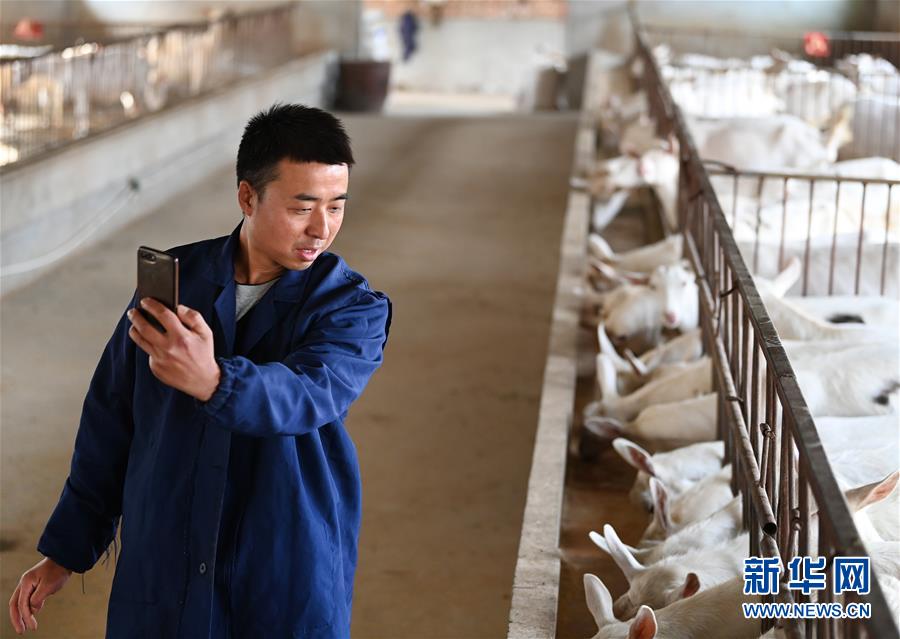 (新華全媒頭條·五中全會精神在基層·圖文互動)(12)奮發(fā)新青年 逐夢新征程——各地青年學習貫徹落實五中全會精神觀察