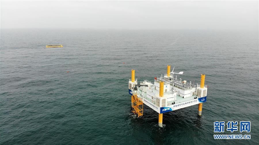 (新華全媒頭條·圖文互動)(10)“拔”海起牧場 “耕”海新牧歌