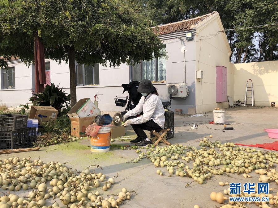 (圖文互動)(1)“葫蘆村”的“生意經”