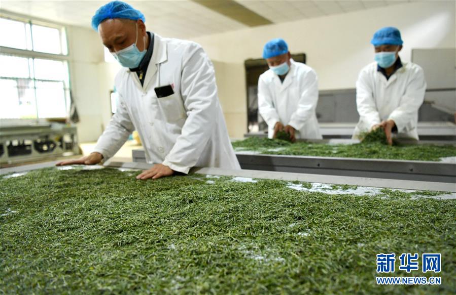 (新華全媒頭條·圖文互動)(22)從人民中汲取磅礴力量——習近平總書記同出席2020年全國兩會人大代表、政協(xié)委員共商國是紀實