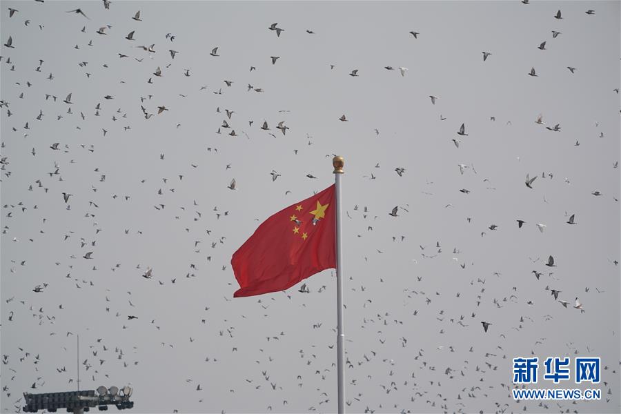 （國慶70周年·慶祝大會）慶祝中華人民共和國成立70周年大會在京隆重舉行