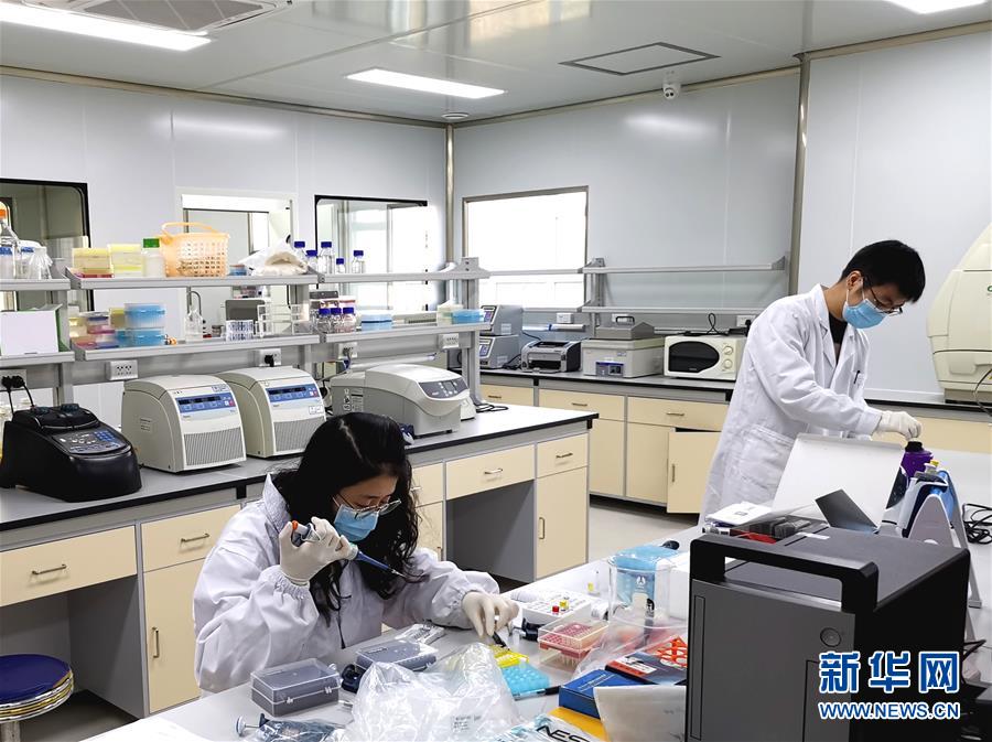 (在習(xí)近平新時(shí)代中國(guó)特色社會(huì)主義思想指引下——新時(shí)代新作為新篇章·習(xí)近平總書記關(guān)切事·圖文互動(dòng))(5)高擎利劍驅(qū)疫魔——科研攻關(guān)助力湖北戰(zhàn)“疫”記