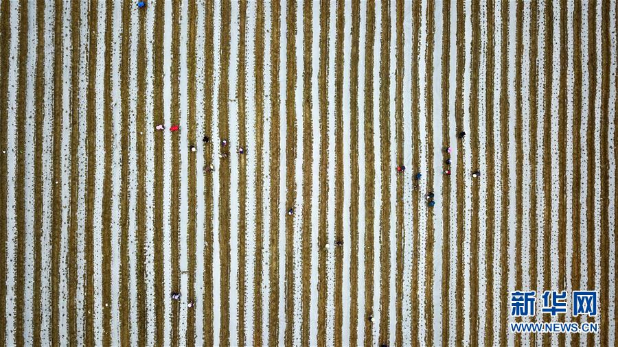 （在習近平新時代中國特色社會主義思想指引下&mdash;&mdash;新時代新作為新篇章&middot;習近平總書記關切事&middot;圖文互動）（6）啃下最后的硬骨頭&mdash;&mdash;脫貧攻堅掛牌督戰進行時