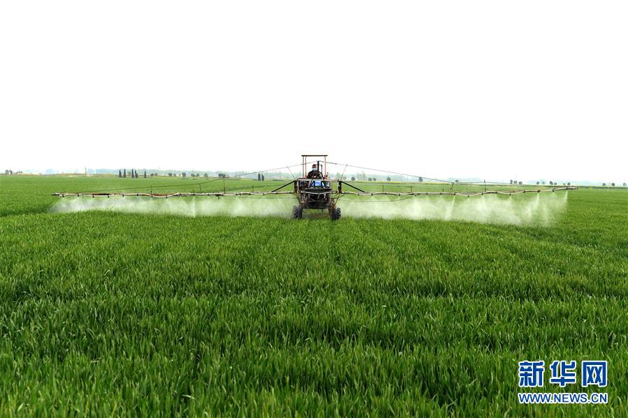 （在習近平新時代中國特色社會主義思想指引下&mdash;&mdash;新時代新作為新篇章&middot;習近平總書記關切事&middot;圖文互動）（10）新農事、新希望&mdash;&mdash;夏收前田間新動態掃描