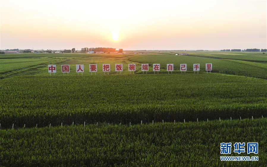 （在習近平新時代中國特色社會主義思想指引下——新時代新作為新篇章·習近平總書記關(guān)切事·圖文互動）（1）讓百姓吃得飽還要吃得好——夯實糧食安全基礎端牢中國飯碗