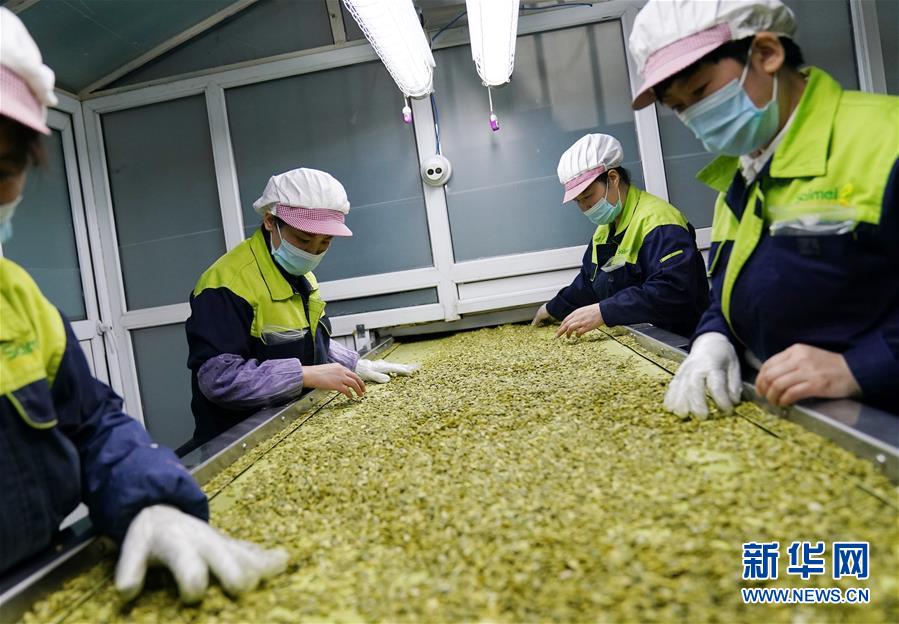 (在習(xí)近平新時(shí)代中國(guó)特色社會(huì)主義思想指引下——新時(shí)代新作為新篇章·習(xí)近平總書記關(guān)切事·圖文互動(dòng))(5)激發(fā)每個(gè)經(jīng)濟(jì)“細(xì)胞”的活力——千方百計(jì)把市場(chǎng)主體保護(hù)好