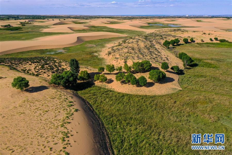 (在習近平新時代中國特色社會主義思想指引下——新時代新作為新篇章·習近平總書記關切事·圖文互動)(10)綠意,在黃沙中鋪展——我國防沙治沙紀實