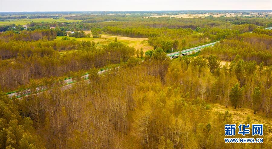 (在習近平新時代中國特色社會主義思想指引下——新時代新作為新篇章·習近平總書記關切事·圖文互動)(3)綠意,在黃沙中鋪展——我國防沙治沙紀實