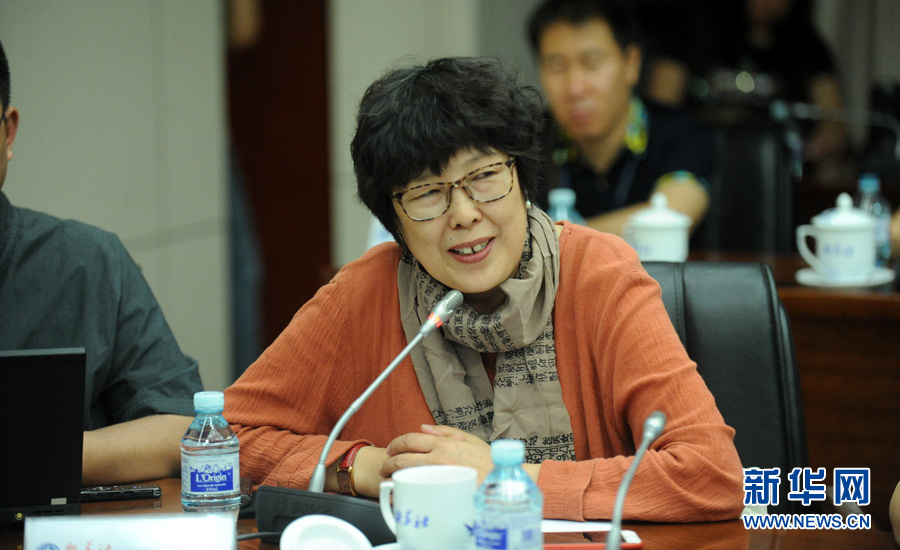 陳小波：新華人對歷史的擔當、情感與良知