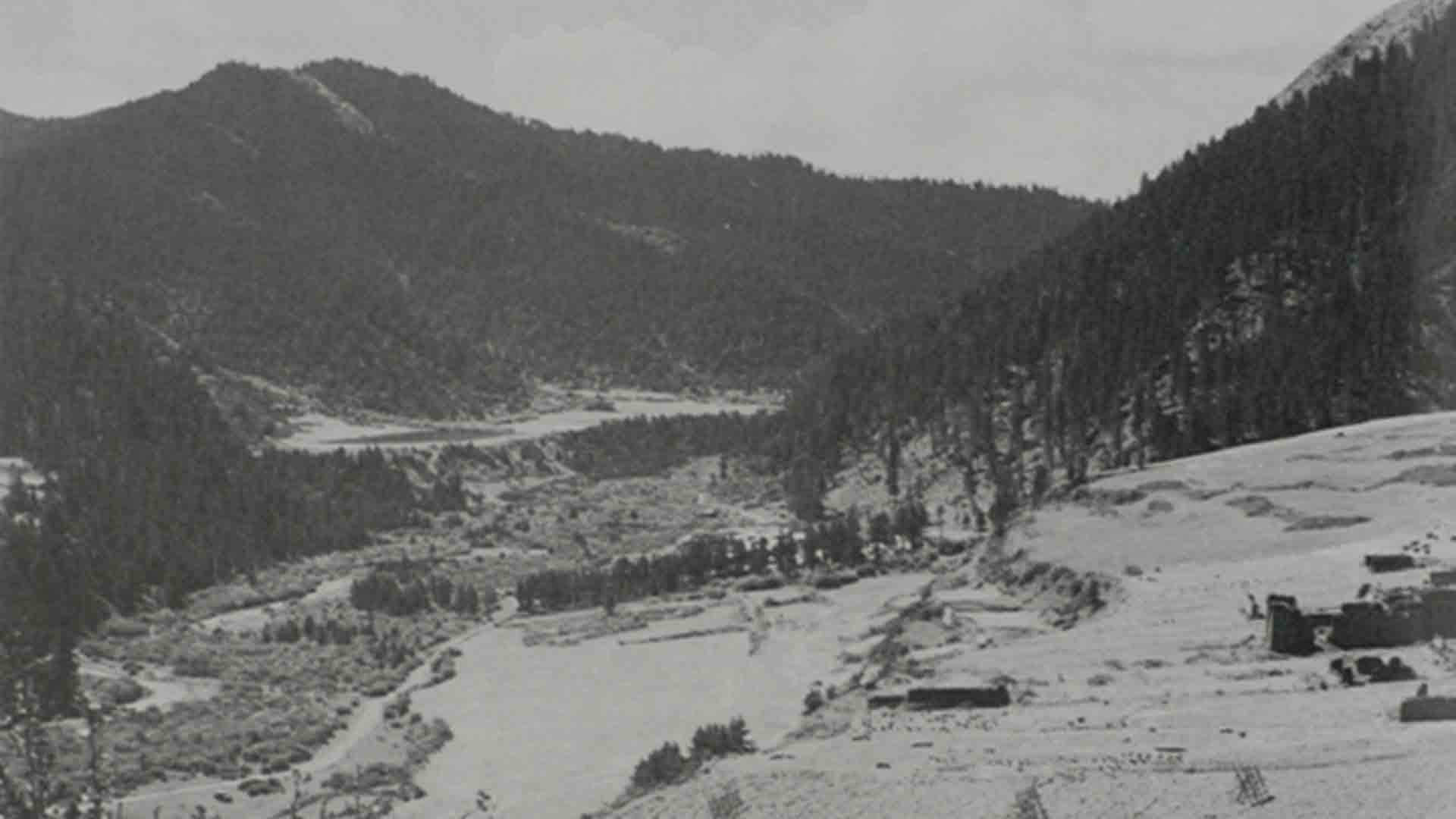 南下還是北上，決定革命前途的關鍵之爭