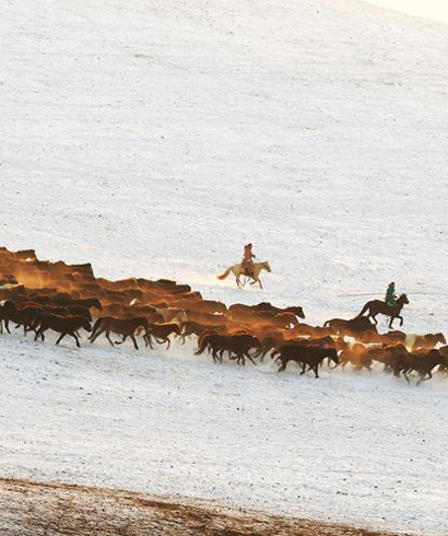 中國馬都—錫林郭勒2017冰雪那達慕