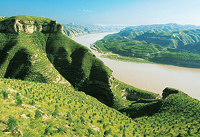 張建龍：&ldquo;三北工程&rdquo;實現生態(tài)、經濟、社會效益&ldquo;多贏&rdquo;