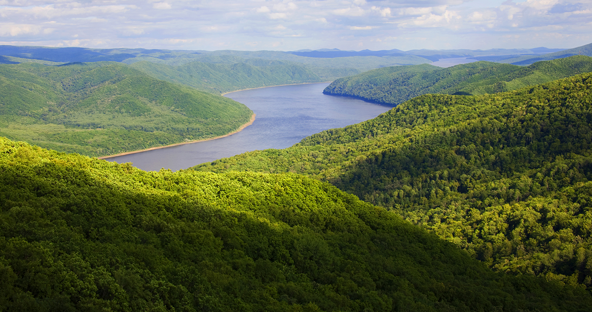 張建龍：&ldquo;三北工程&rdquo;實現生態(tài)、經濟、社會效益&ldquo;多贏&rdquo;
