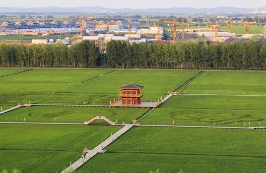 吉林孤店子鎮“村變城”背后的故事