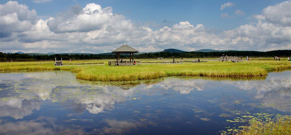 那一抹綠色，走進越來越多人心里——河北塞罕壩續寫新時代綠色傳奇