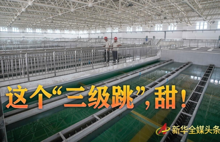 這個&ldquo;三級跳&rdquo;，甜！