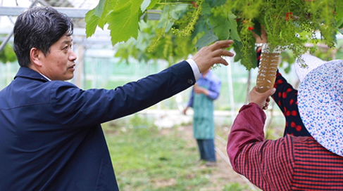 聶永平與&ldquo;小康村&rdquo;的泥土鄉情