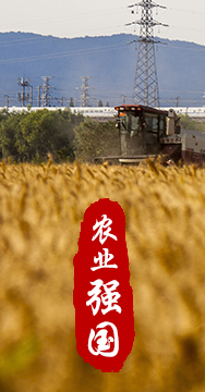 農業強國是社會主義現代化強國的根基。