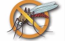 夏季，常見蚊蟲如何應對