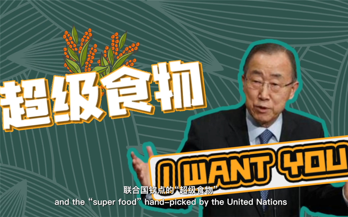 聯合國將藜麥視為抗擊饑餓的“超級食物”，大力推廣