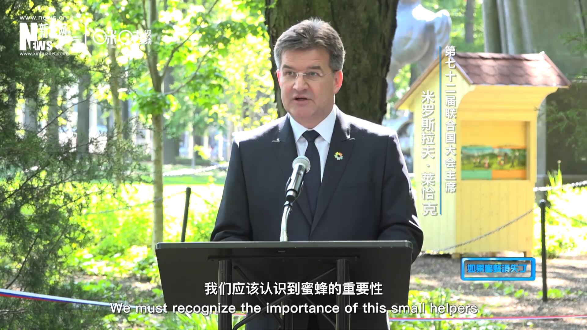 我們應該認識到蜜蜂的重要性，所以我們用“世界蜜蜂日”提高大家保護蜜蜂的意識，并且用實際行動去保護蜜蜂