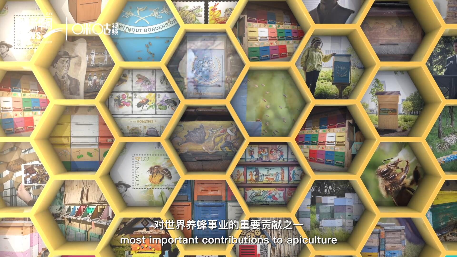 他開始用色彩豐富的畫作來裝飾蜂巢的前板，幫助不同蜂群按照習性和顏色順利找到自己的蜂巢