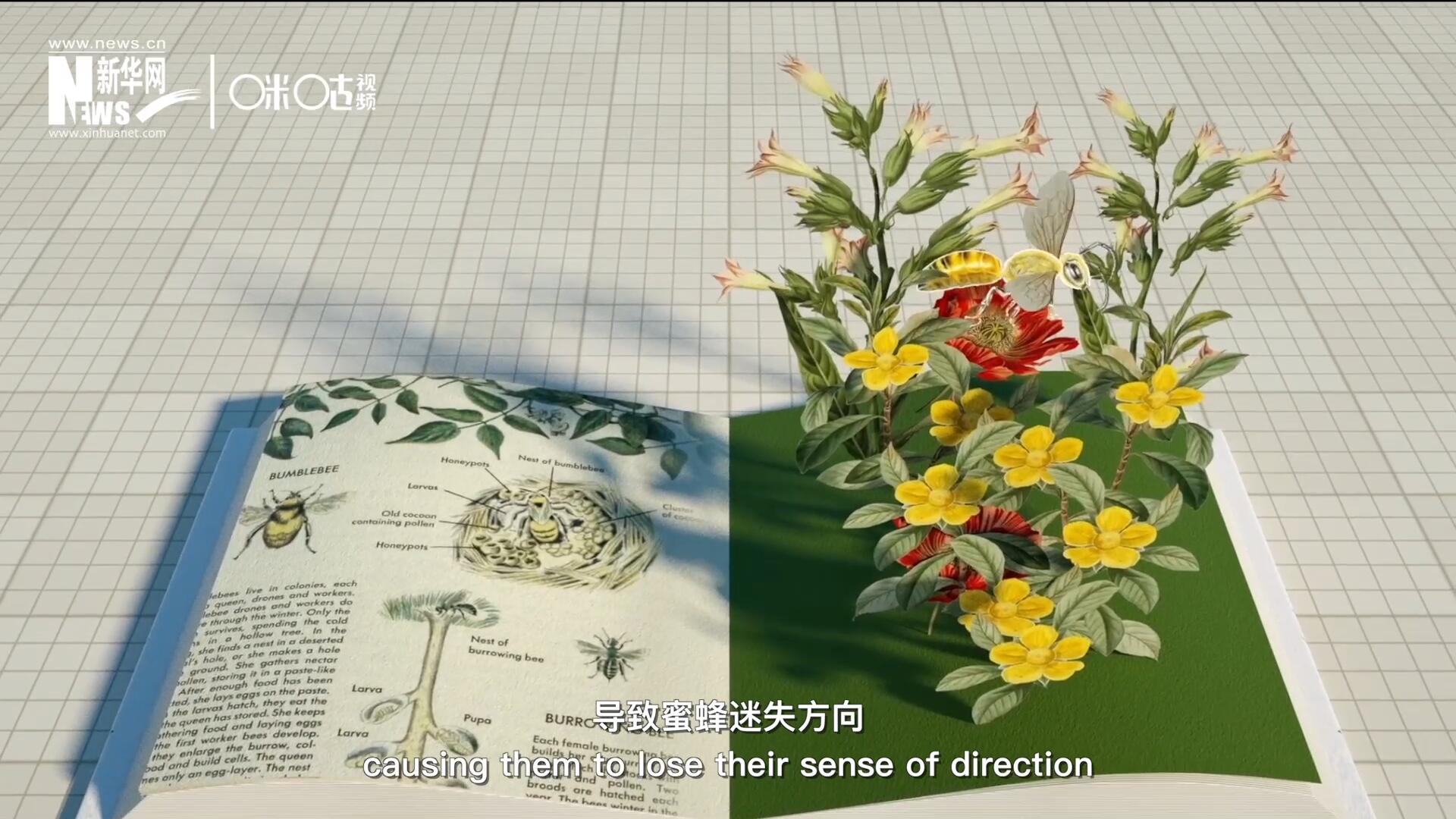 殺蟲劑會破壞蜜蜂的神經(jīng)系統(tǒng)，導致蜜蜂迷失方向，無法回到蜂房，還會降低蜜蜂的抵抗力