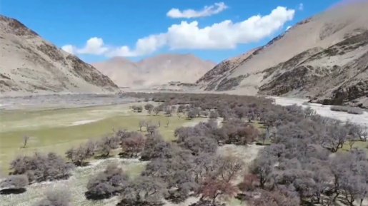 珠峰國家級(jí)自然保護(hù)區(qū)被列為聯(lián)合國教科文組織世界生物圈保護(hù)區(qū)網(wǎng)絡(luò)