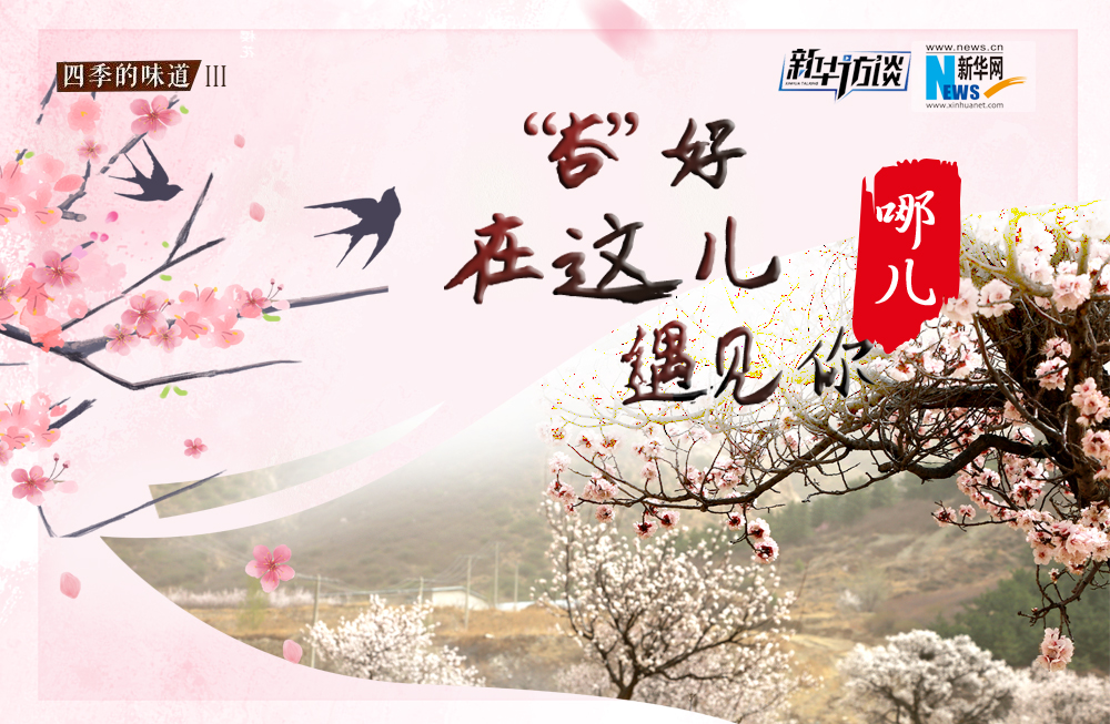 哪兒？“杏”好在這兒遇見你！