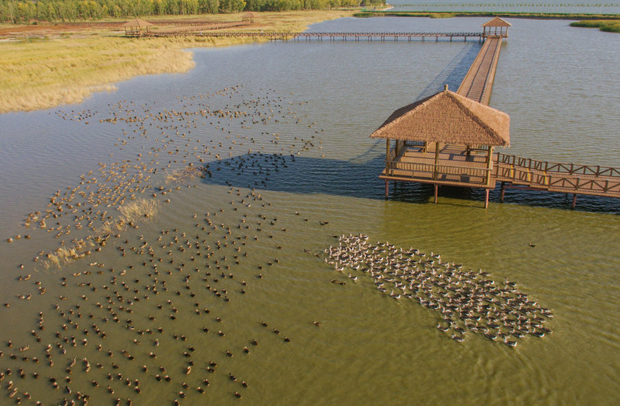 新華微評·學習路上：生態興，百業旺