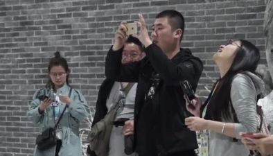 北京4月飄雪，鵝毛還是狂風任你呼喚