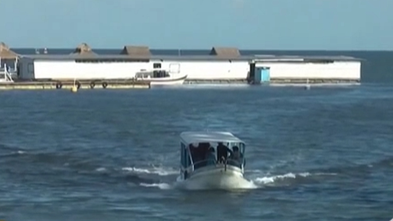 整頓！ 非法營業 印尼巴厘島解救七只寬吻海豚