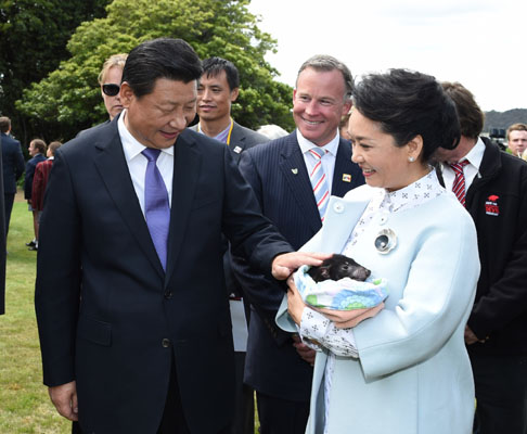 11月18日,國(guó)家主席習(xí)近平在澳大利亞塔斯馬尼亞州與朗塞斯頓市斯科奇-歐克伯恩小學(xué)的小學(xué)生共同植樹(shù)。這是習(xí)近平和夫人彭麗媛植樹(shù)后撫摸袋獾。新華社記者 馬占成 攝 11月18日,國(guó)家主席習(xí)近平在澳大利亞塔斯馬尼亞州與朗塞斯頓市斯科奇-歐克伯恩小學(xué)的小學(xué)生共同植樹(shù)。這是習(xí)近平和夫人彭麗媛植樹(shù)后撫摸袋獾。新華社記者 馬占成 攝