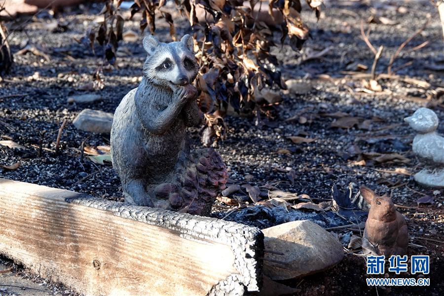 (國(guó)際·圖文互動(dòng))(4)一場(chǎng)山火,讓這個(gè)冬天格外冷——探訪美國(guó)加州山火災(zāi)區(qū)