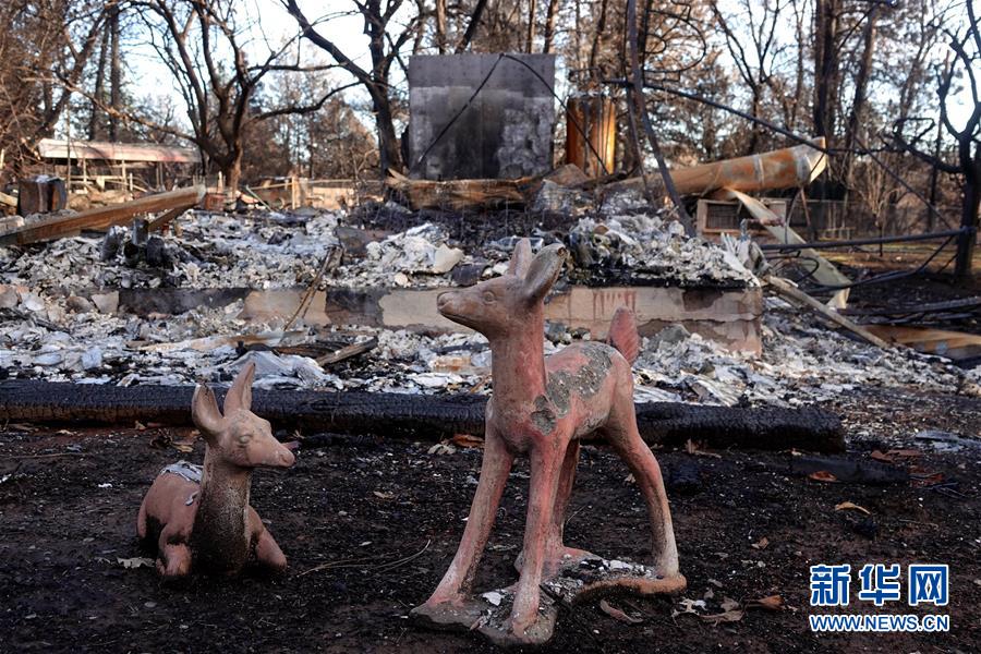 (國(guó)際·圖文互動(dòng))(6)一場(chǎng)山火,讓這個(gè)冬天格外冷——探訪美國(guó)加州山火災(zāi)區(qū)